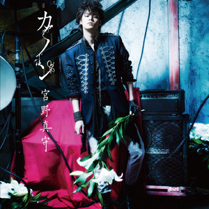 业余自由 场景 剪辑 视频
