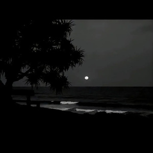 业余自由 场景 剪辑 视频
